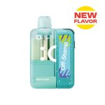 winter mint 5c075564 149b 4efc 8aba c625c71f53c3 700x700