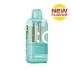 winter mint 9b19075a fb62 4544 8cb9 5020ad104257 700x700